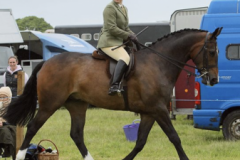 Diane Brash and Remember Rossmore