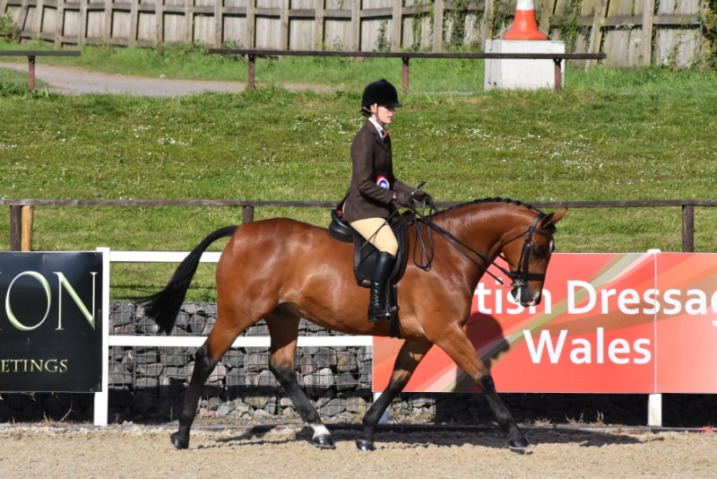 Samantha Parry and Kilcannon Skyfall
