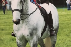 Glenda Gosling and Faraon De la Diligence