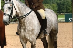 Victoria Oliver and Craughwell Strawberry Lad