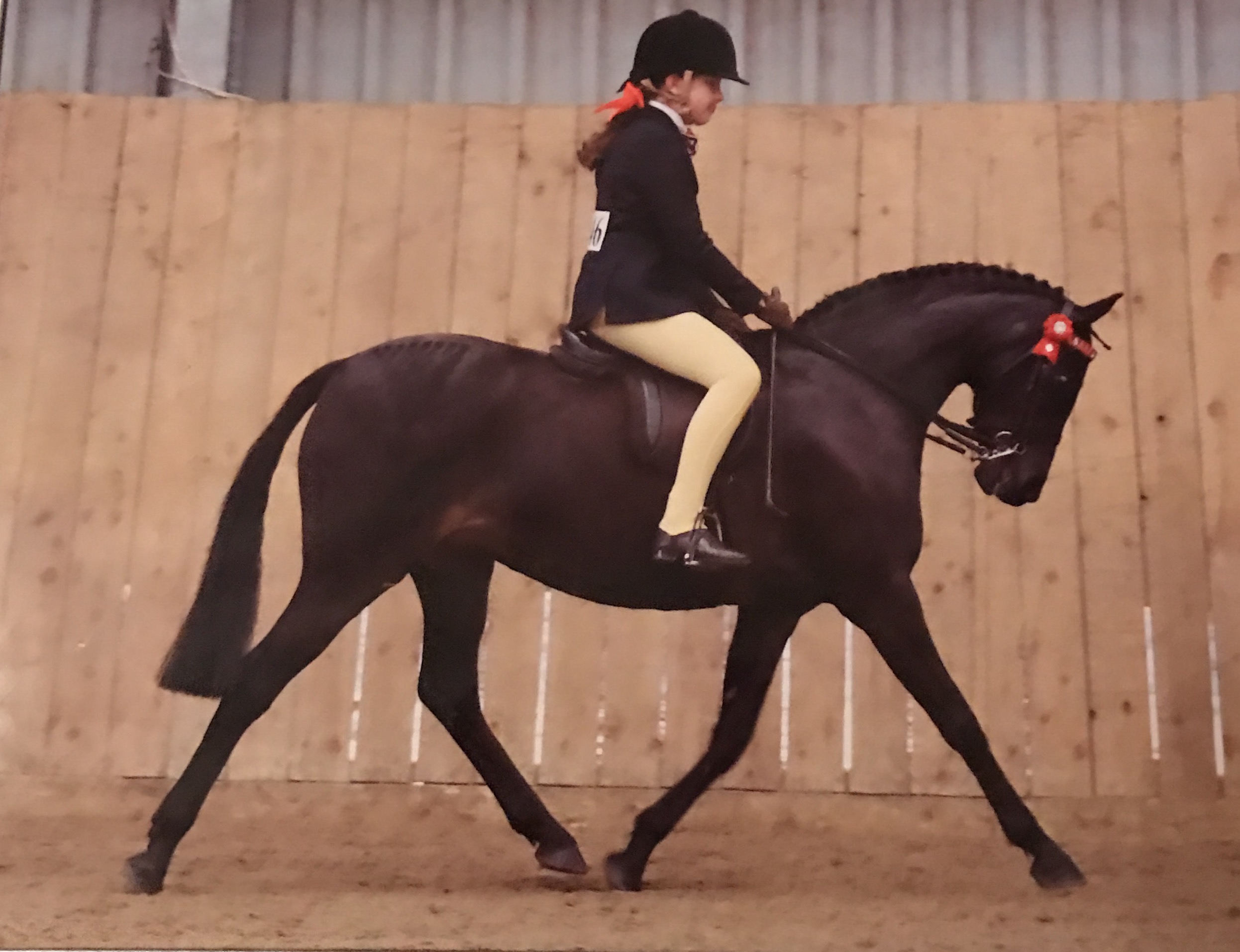 Ella Georgakis and Mansionhill Magic Star