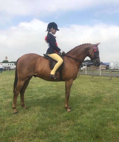 Freya Herring and Hightopps Samba