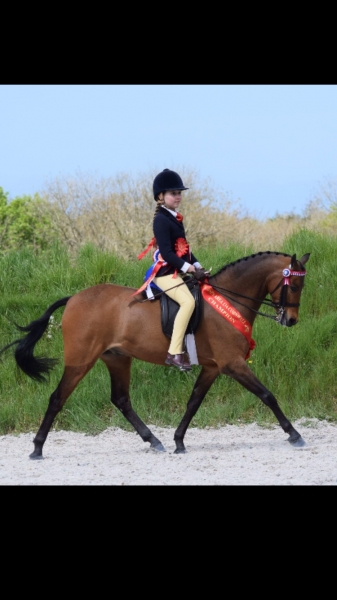 Summer Mcnair and Hideaway Topkat