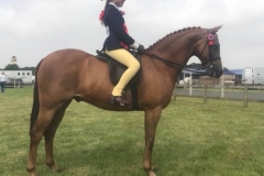 Freya Herring and Hightopps Samba