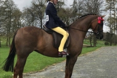 Harrison Fewings and Hightopps Saffron