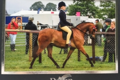 Phoebe Thomas & Chasecroft Tip Top