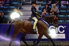 Rotherwood Royal flight and Sam walker