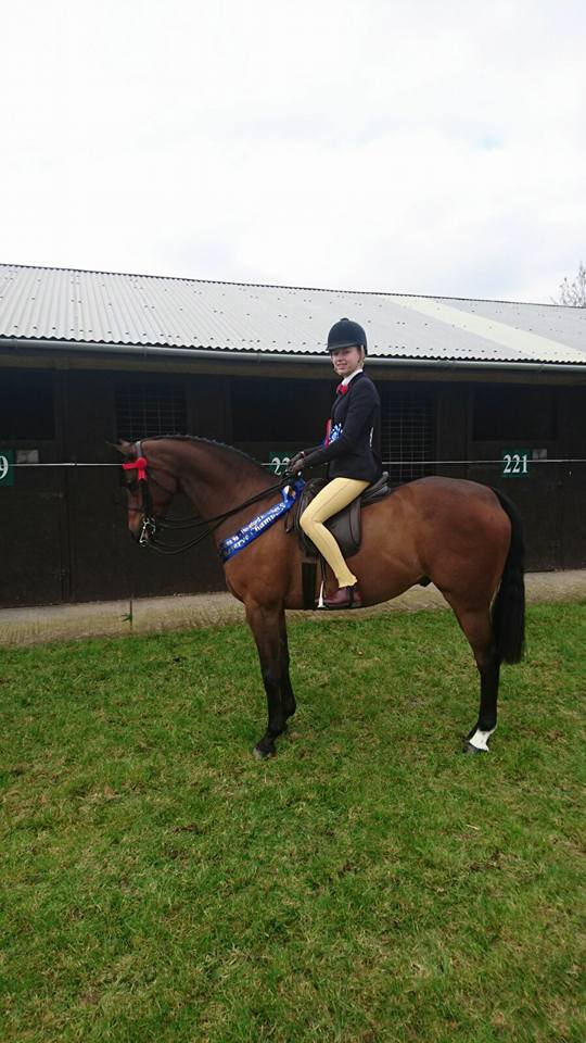 Cranbornes summer song rider mia brown
