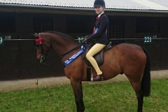 Cranbornes summer song rider mia brown