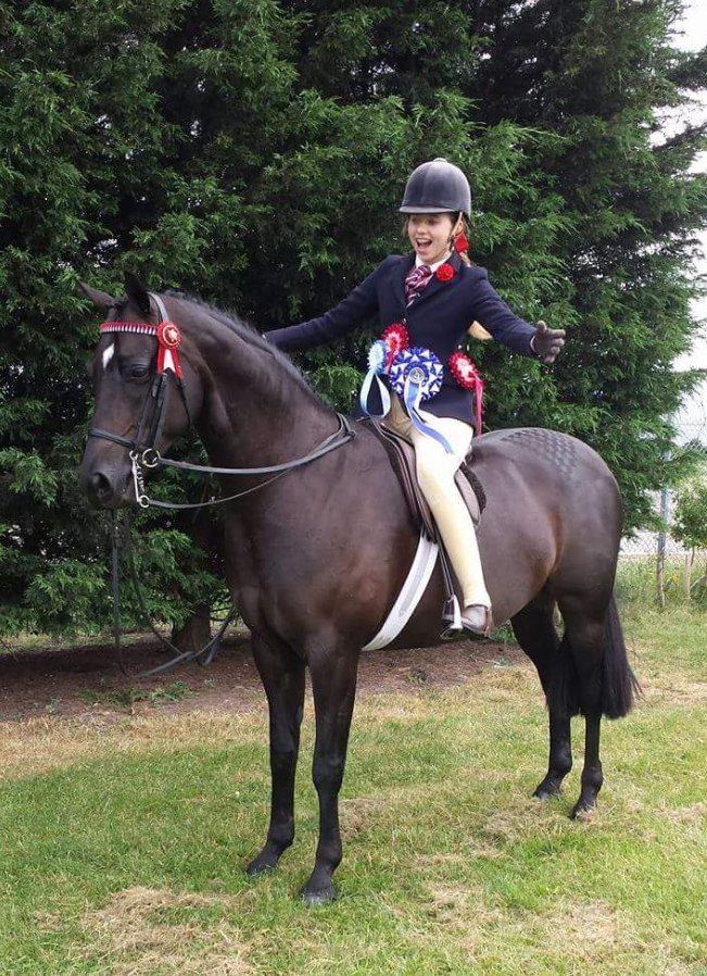 Phoebe Rocks and The very handsome Green Barrow Mr. D'arcy