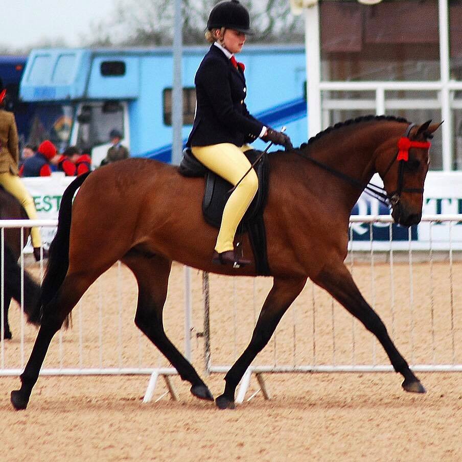 raemoir master plan and Ellie Morgan Conway