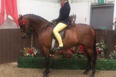 Emmy Parkhouse and Jackets Destiny