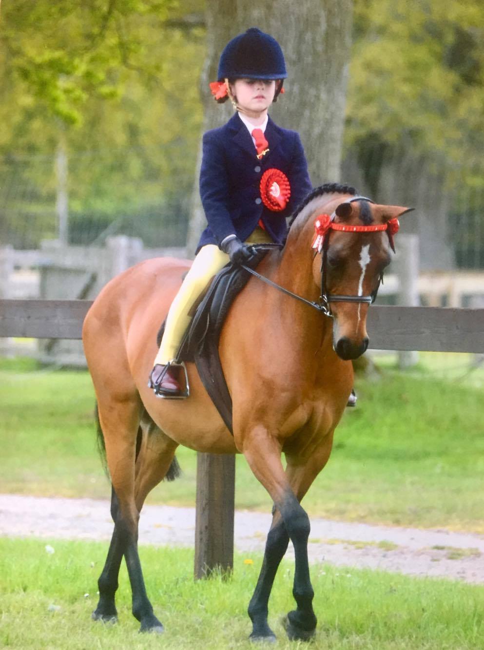 Georgie Grace riding Anndalyse Sugar Plum