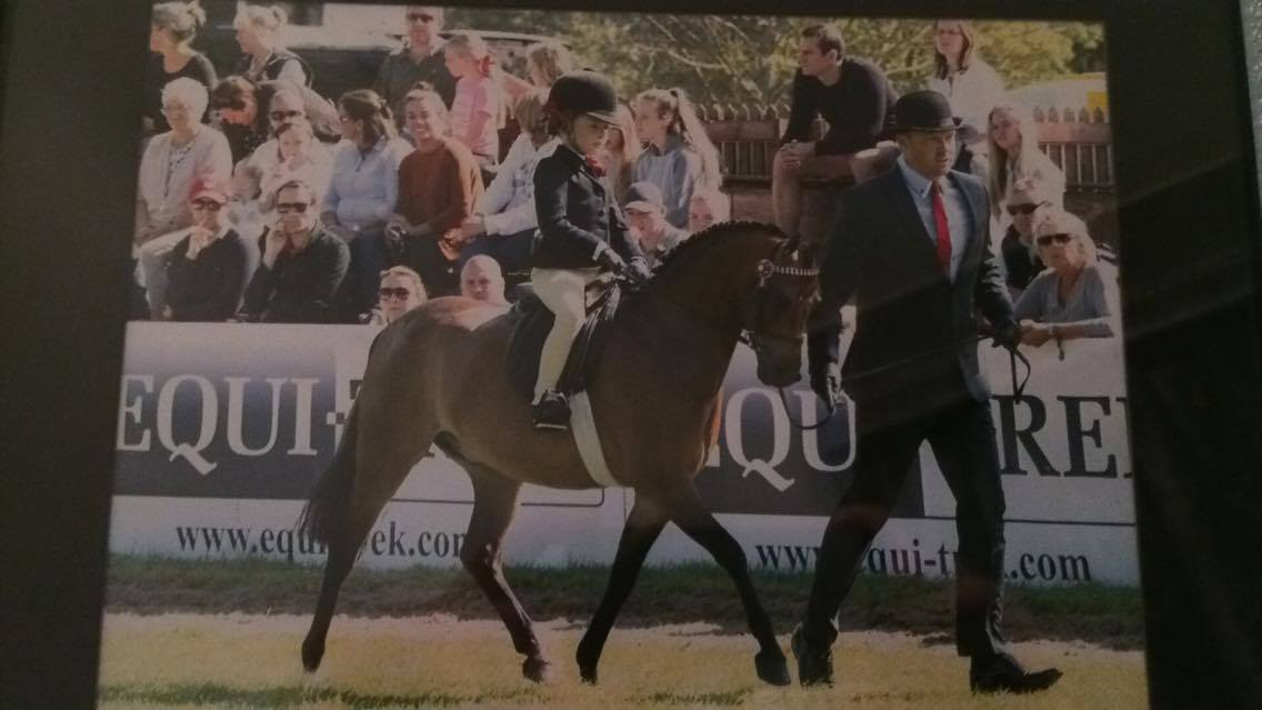 Hollybush Romeo and Daisy may Allen