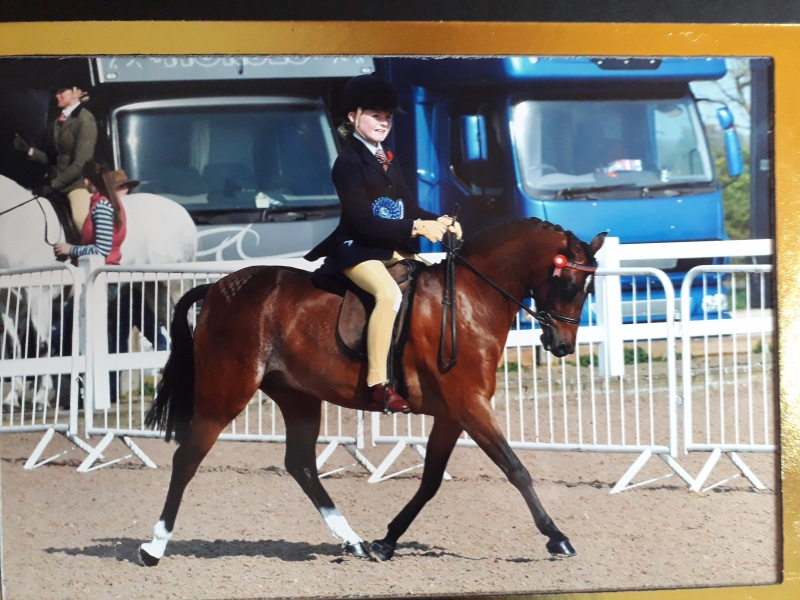 Daisy Bullman and Topend Jetsetter
