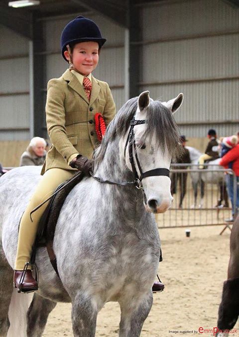 Lucas Bell and Gwithian Percival