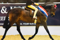 Chloe Salley and Ravara Mr Tod
