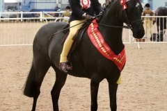 Livie Smith and Brookwater Carousel