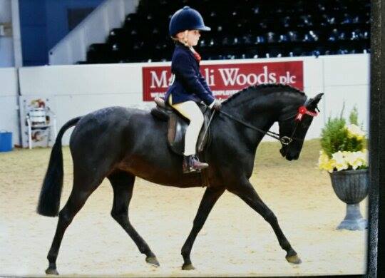 Warren fentiman and barkway little star