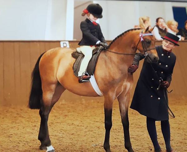Hollybush romeo and daisy-may Allen