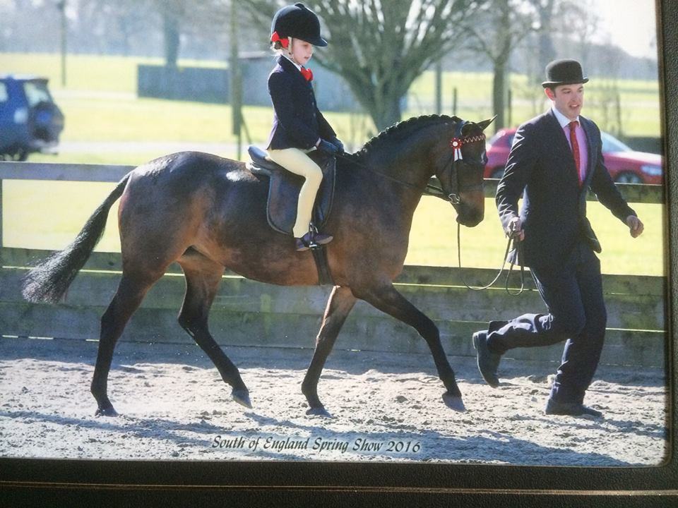 Seamoor Lady Derby Rider Poppy Steadman
