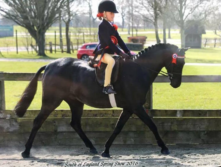 Woodroyd Celebration and Eugenie Godfrey-Faussett