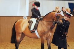 Hollybush romeo and daisy-may Allen