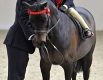 Ophelia Timmins and Barkway Tia Dalma
