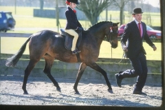 Seamoor Lady Derby Rider Poppy Steadman