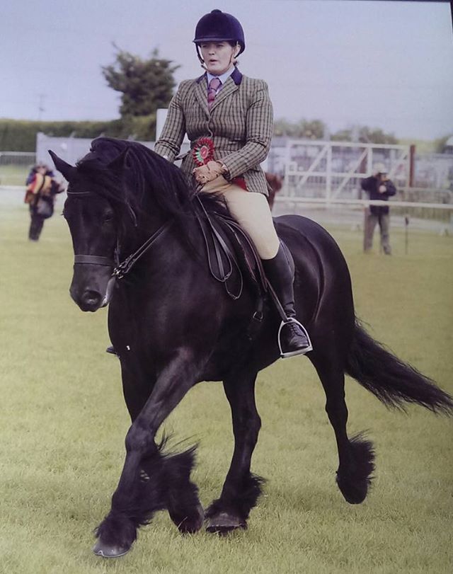 Waterside Black Magic ridden by Stephanie Sharp
