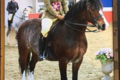 Fiona Wilson and Horeb Boycee