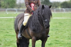 Tara Buckley and Murthawaite Think On