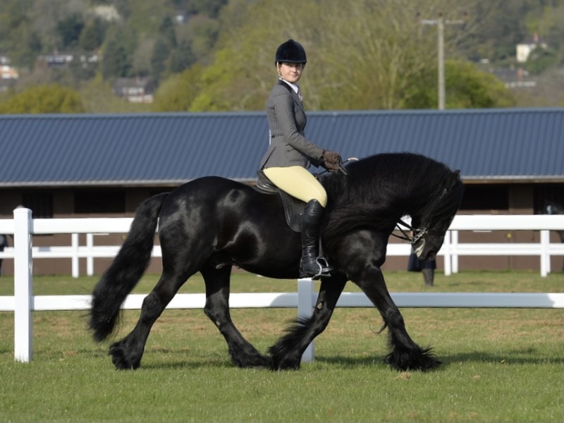 Georgie-Lewis-Roberts-and-Waverhead-Dazzler-II
