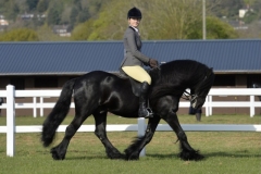 Georgie-Lewis-Roberts-and-Waverhead-Dazzler-II