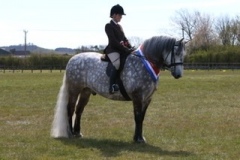 Sophie-Barker-and-Balmoral-Merlin