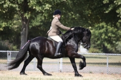Georgia-hanson-and-Waterside-black-jack