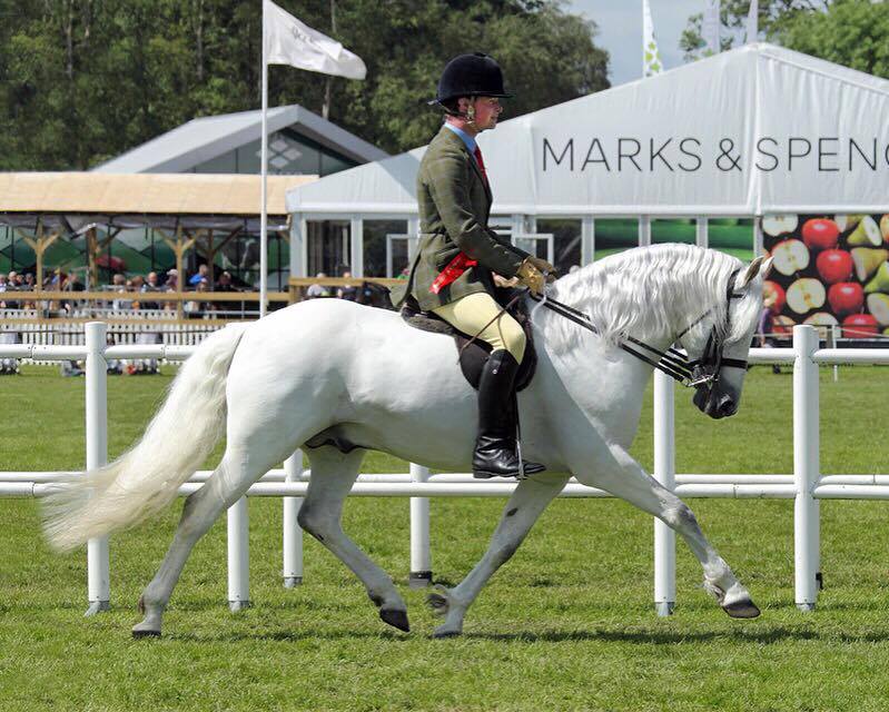 Fuinseoig Boy and James Whiteford