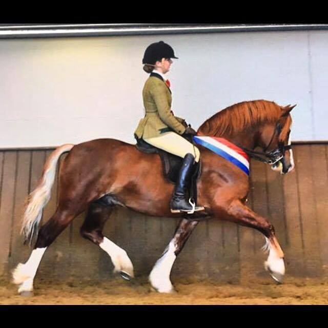 Lynuck the showman and Lauren Moore-Williams