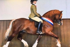 Lynuck the showman and Lauren Moore-Williams