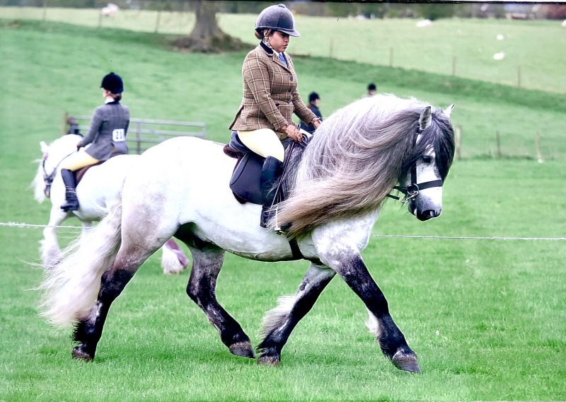 Sofia Vaughan and Scott Of Forglen