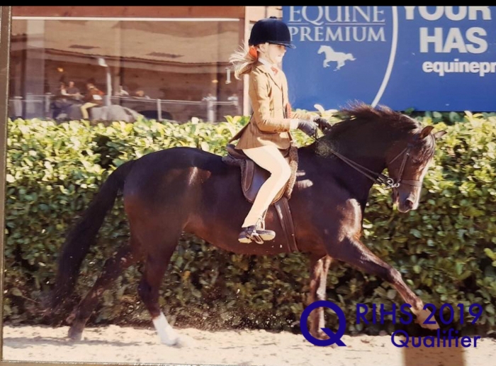 Matilda Masters and Birkinbrook Julliet copy