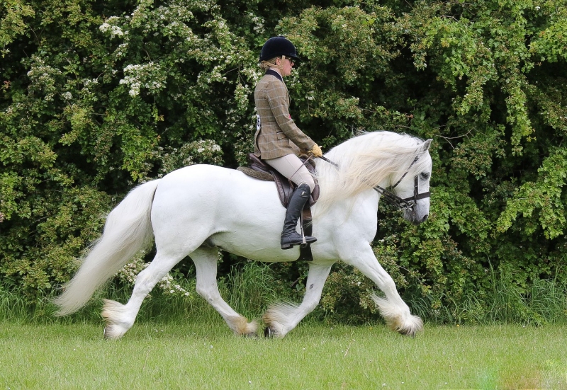 Emily-Morey-and-Greenholme-guardsman