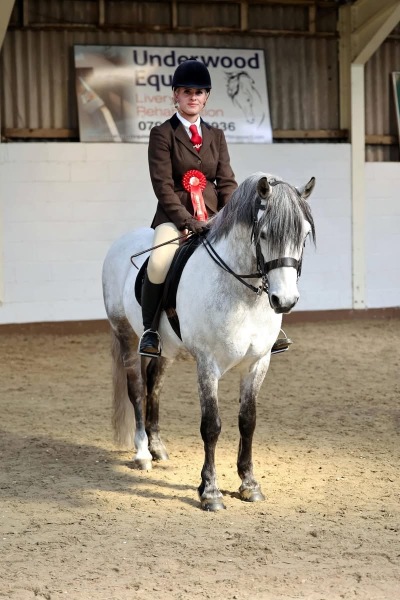 Betsy-Marriott-Horse_Pony-Barrowby-Royal-Rein