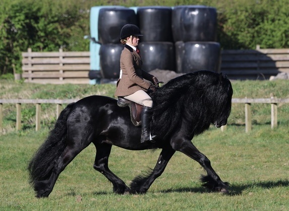 Georgia Jones and Greenholme Knight