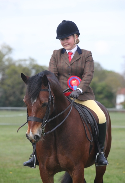 Maisie-james-Horse_Pony-Haighmoor-horace