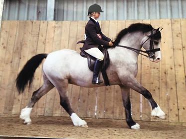 Menai Radium and Leah May