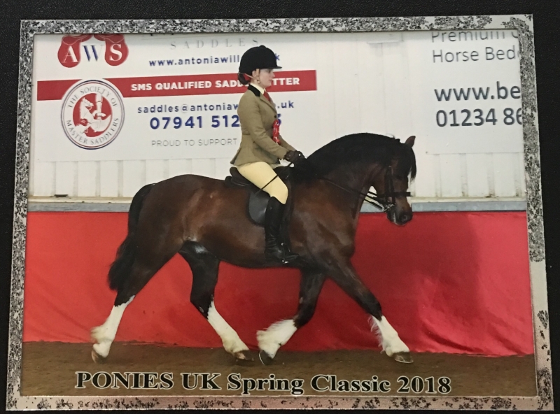 Amy Tate and Rivervalley Flash Jack