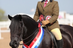 Chantelle Chapman and Greenholme Falcon