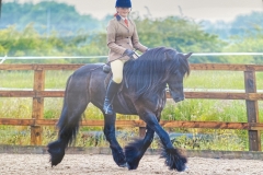 Millie-Walsh-and-Castlehill-Black-Jack
