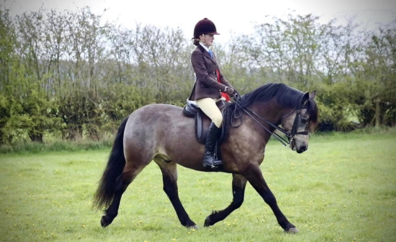 Georgie-and-Caherlistrane-Eoin